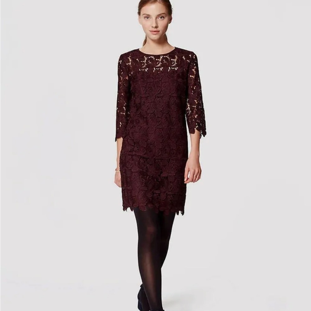 NWT Loft burgundy lace overlay shift dress size 6